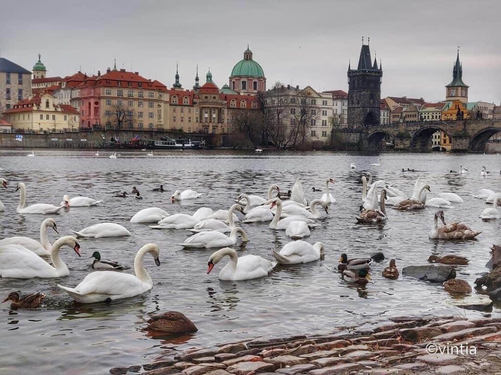 Prague