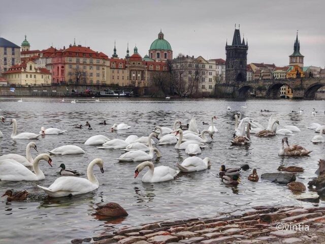 The Beauty of Prague