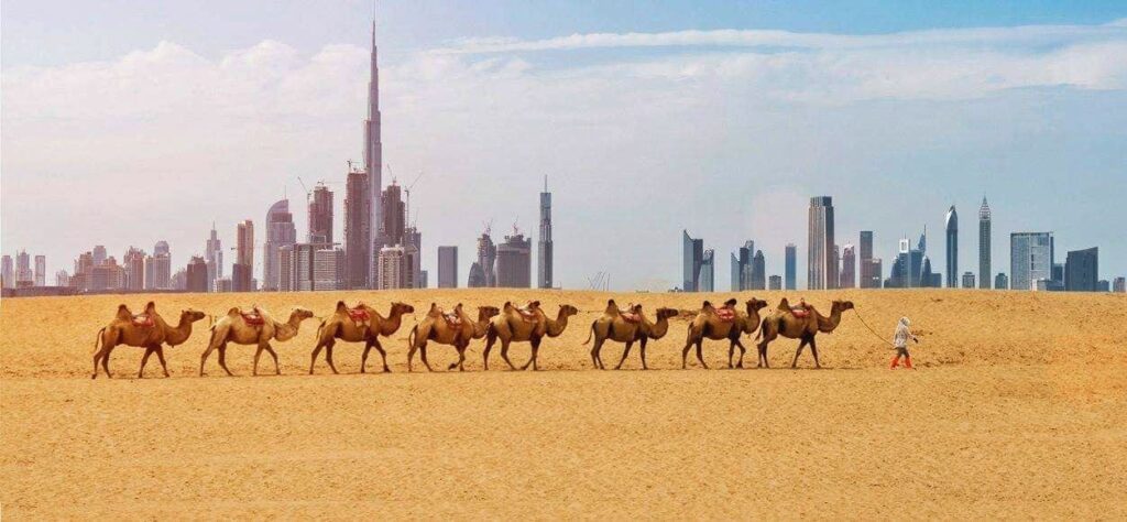 Tops things to do in Dubai