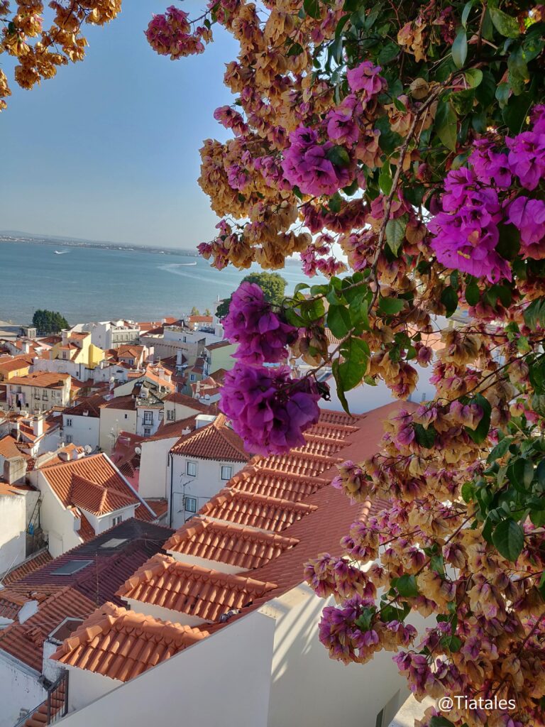 A Paradise on Atlantic Ocean ~ Lisbon Portugal